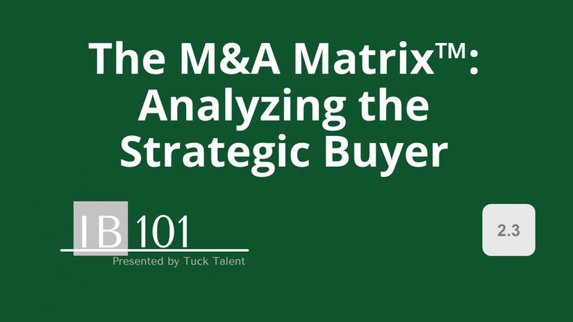 2.3 The M&A Matrix™: Analyzing the Strategic Buyer
